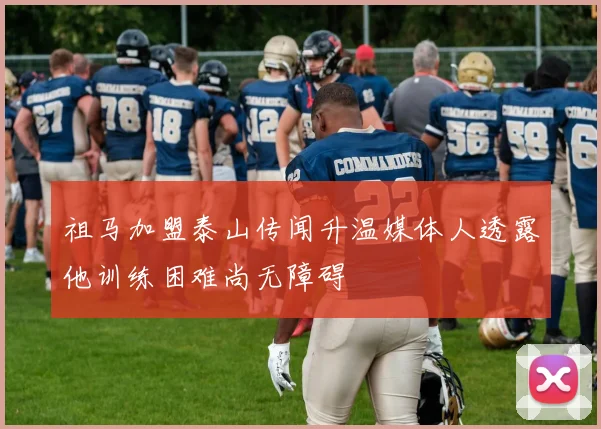 祖马加盟泰山传闻升温媒体人透露他训练困难尚无障碍