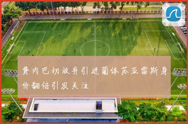 费内巴切放弃引进葡体苏亚雷斯身价翻倍引发关注